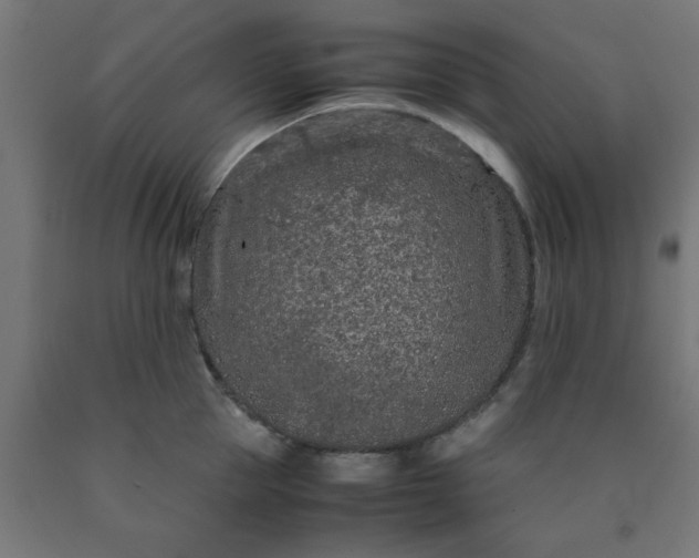 X0000090620953200707311241