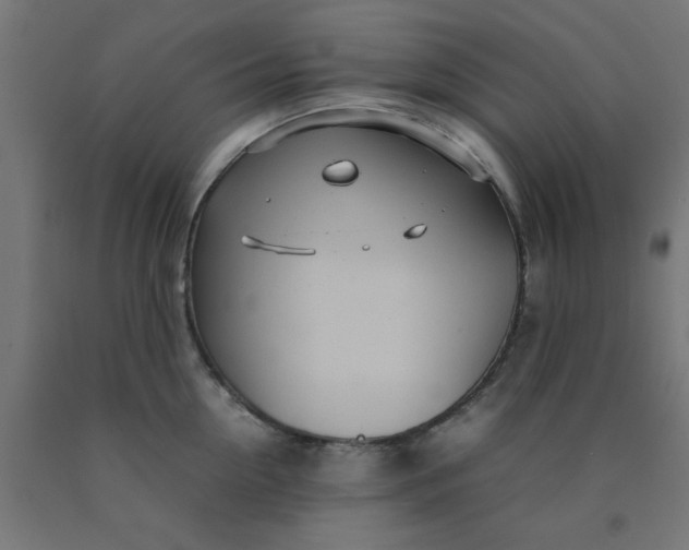 X0000090620954200707311241