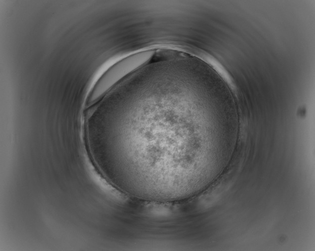X0000090620955200707311241