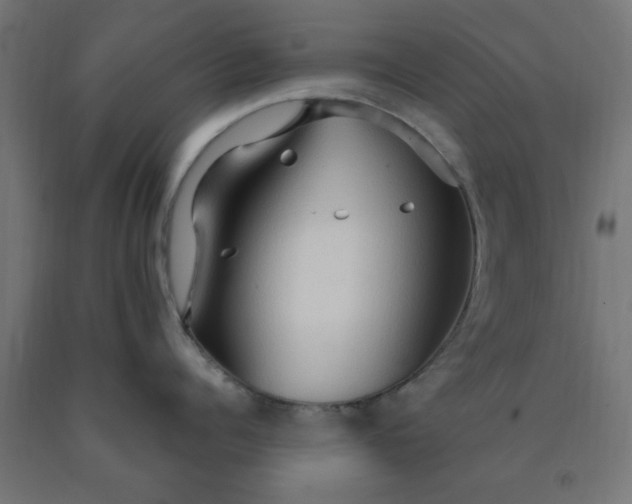 X0000090620960200707311241