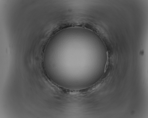 X0000090620961200707311240