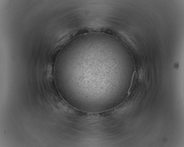 X0000090620964200707311240