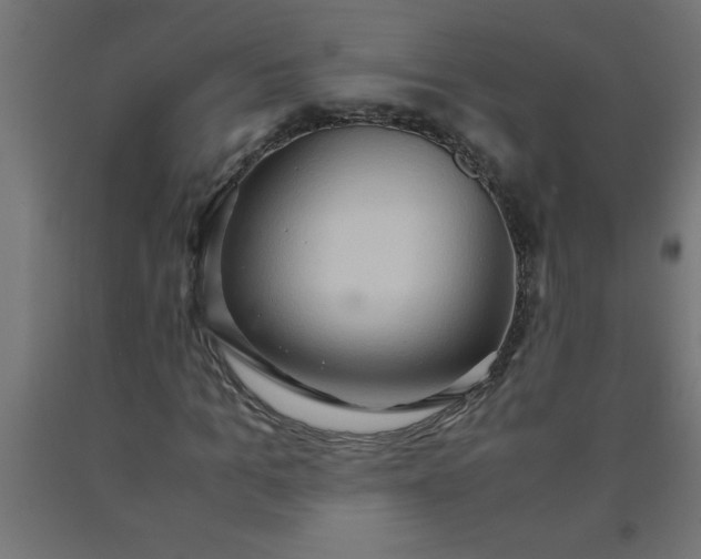 X0000090620965200707311240