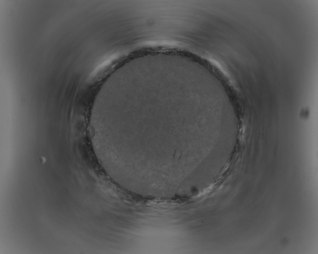 X0000090620967200707311240