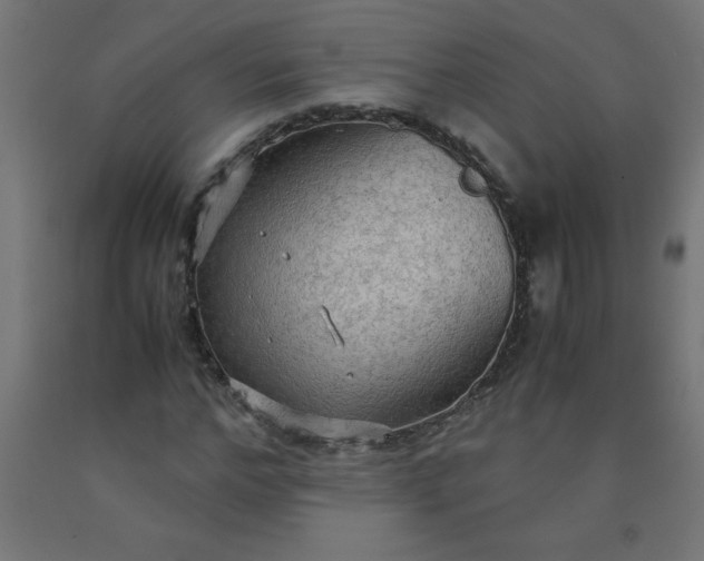 X0000090620968200707311240