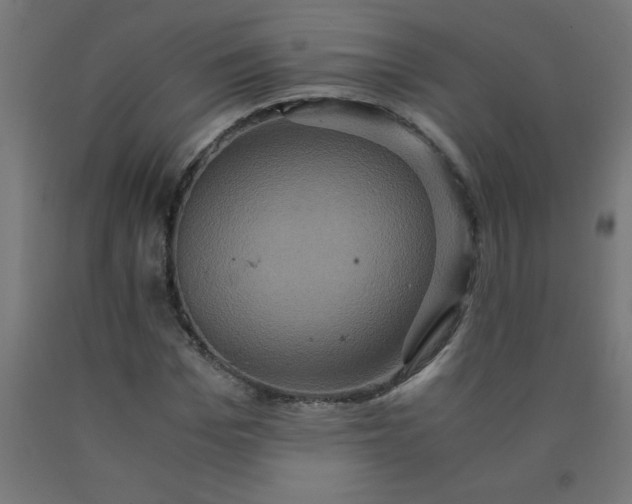 X0000090620969200707311240