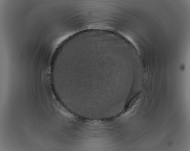 X0000090620971200707311240