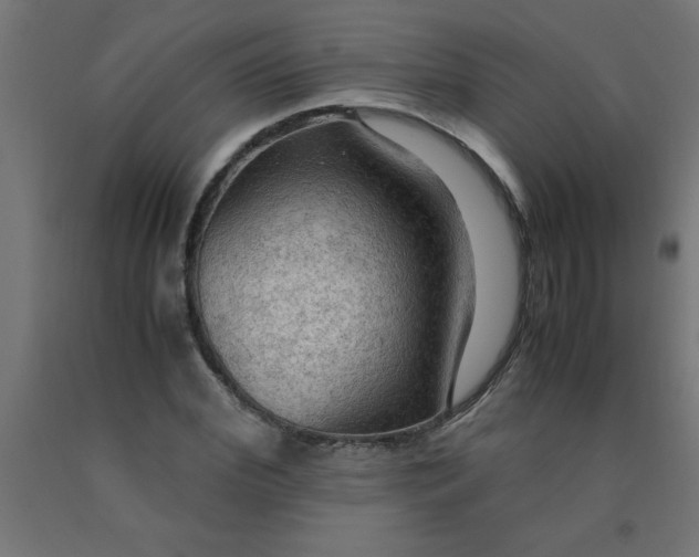 X0000090620972200707311240