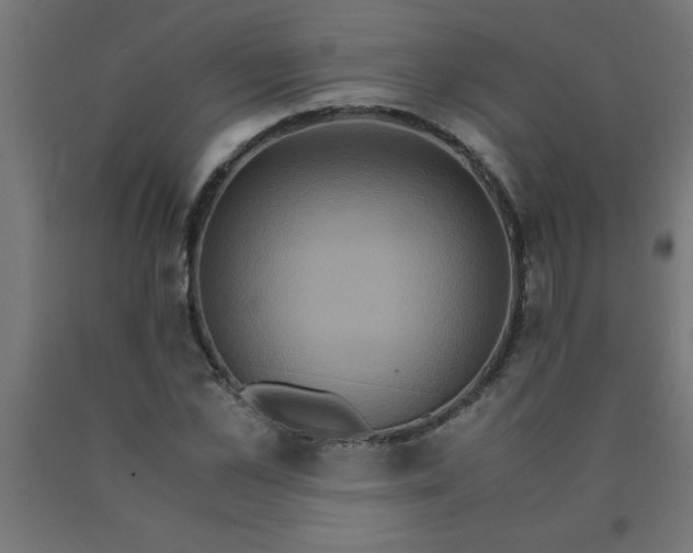 X0000090620973200707311240