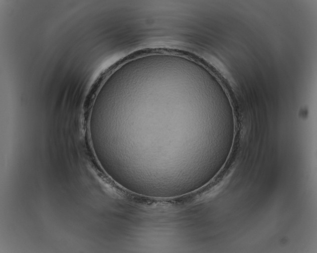 X0000090620974200707311240