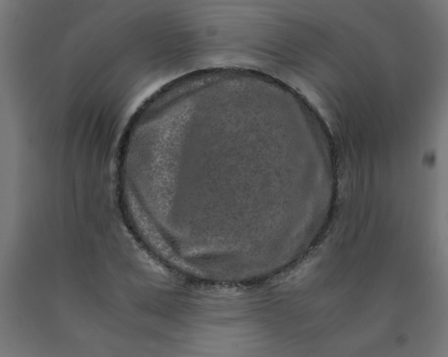 X0000090620975200707311240