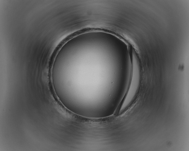 X0000090620976200707311240