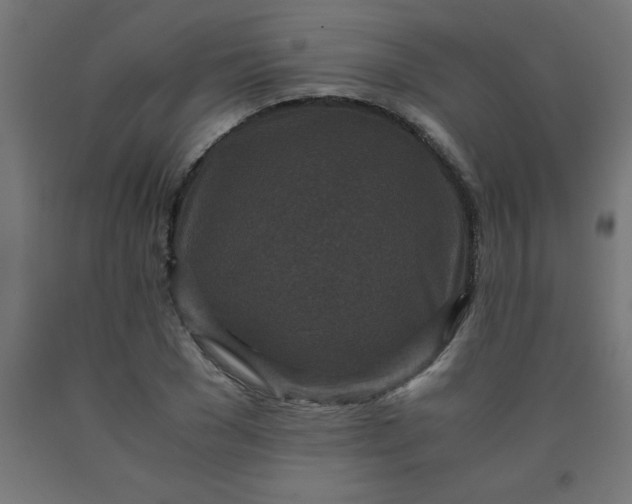 X0000090620977200707311240
