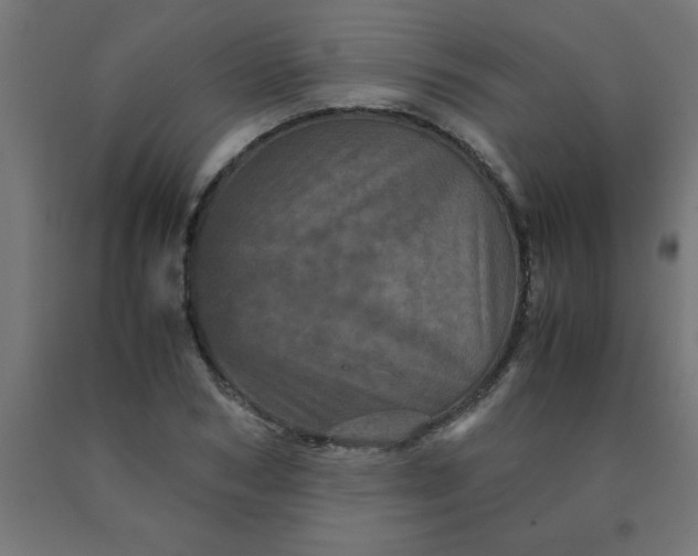X0000090620978200707311240