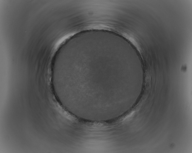 X0000090620979200707311240
