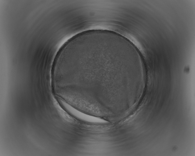 X0000090620980200707311240