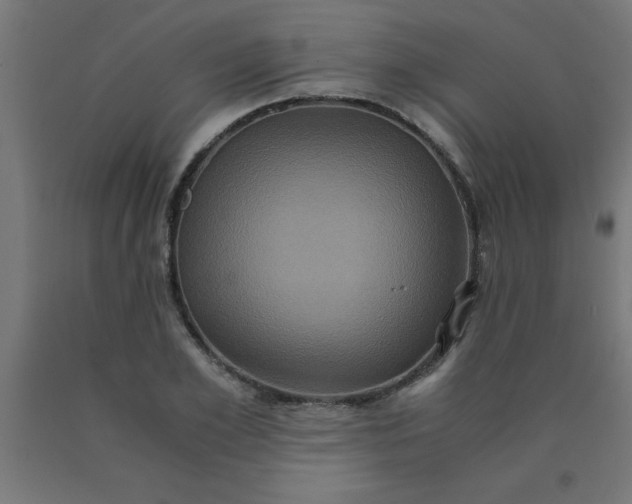 X0000090620981200707311240