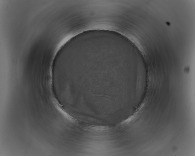 X0000090620982200707311240