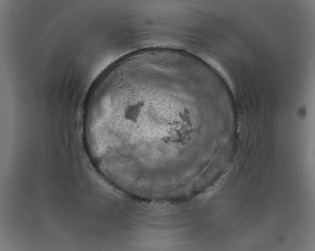 X0000090620983200707311240