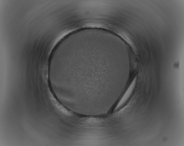 X0000090620984200707311240