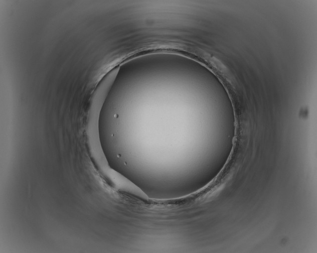 X0000090620985200707311240