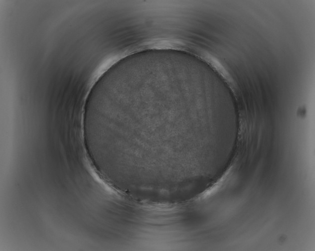 X0000090620986200707311240