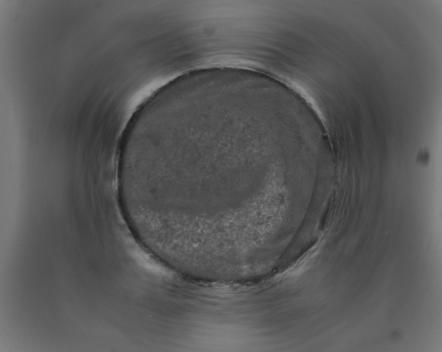 X0000090620987200707311240