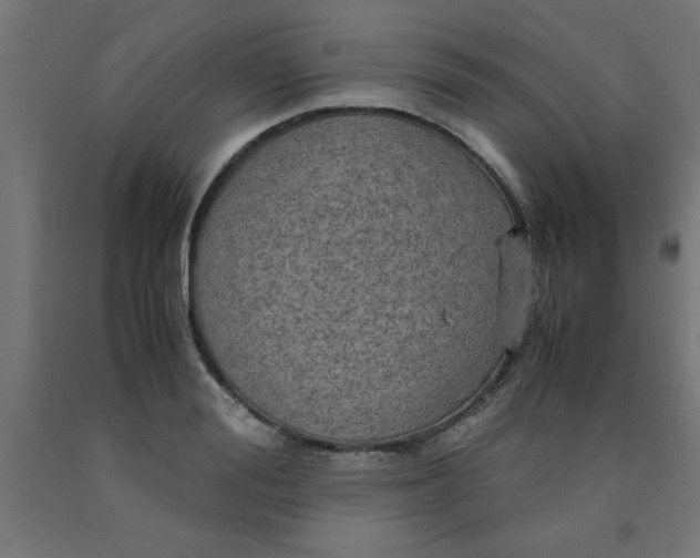 X0000090620988200707311240