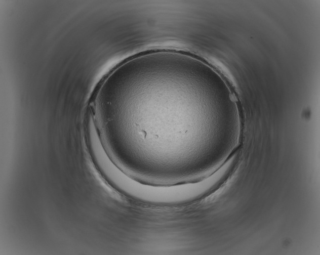 X0000090620989200707311240