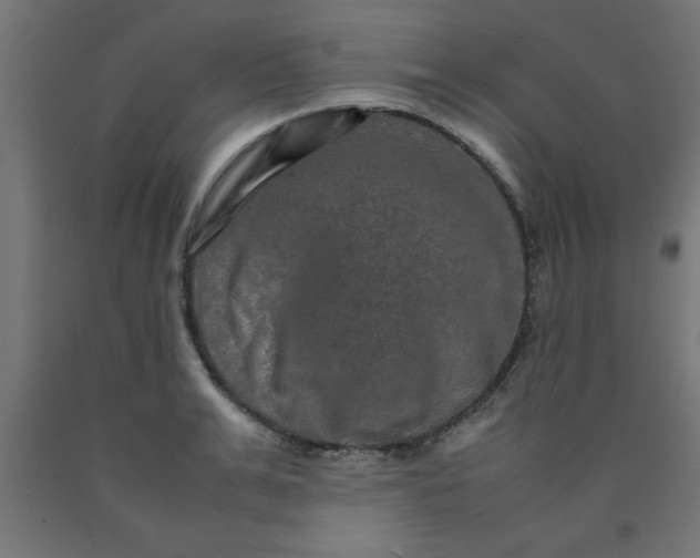 X0000090620991200707311240