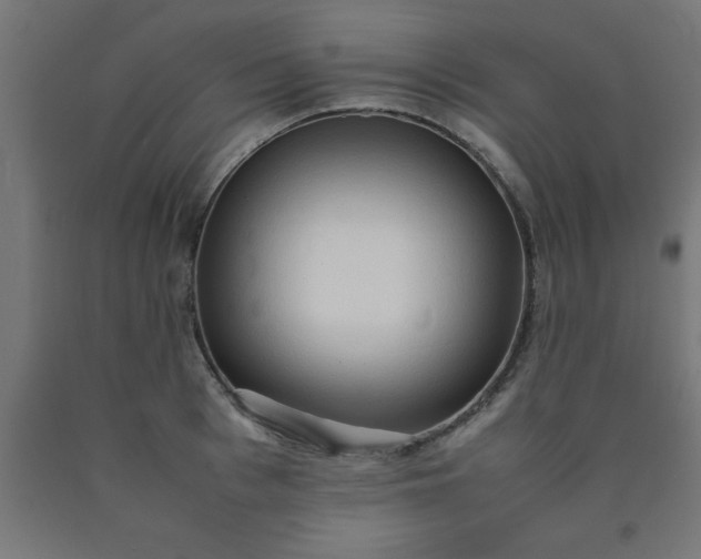 X0000090620993200707311240