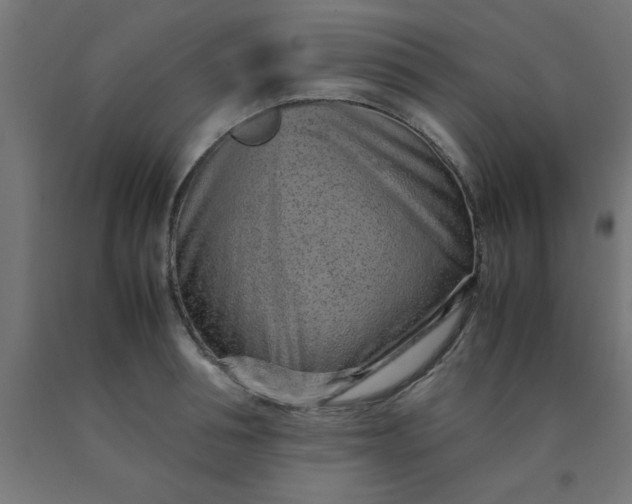 X0000090620994200707311240