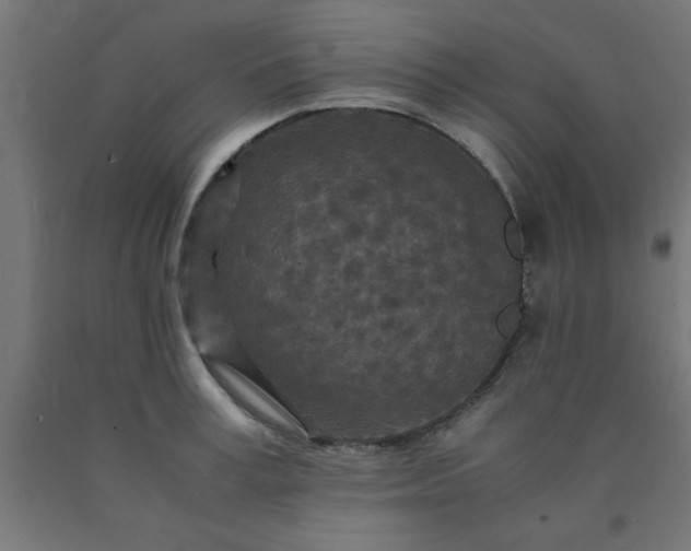 X0000090620995200707311240