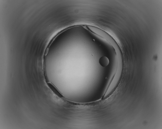 X0000090620996200707311240