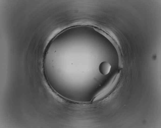 X0000090620997200707311240