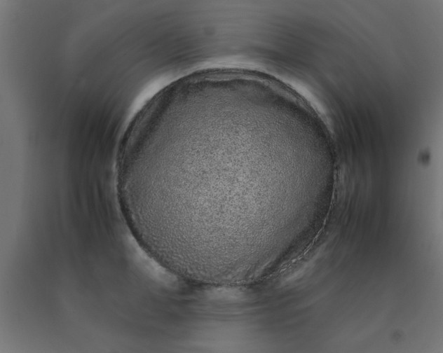 X0000090620998200707311240