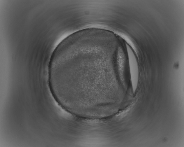 X0000090620999200707311240