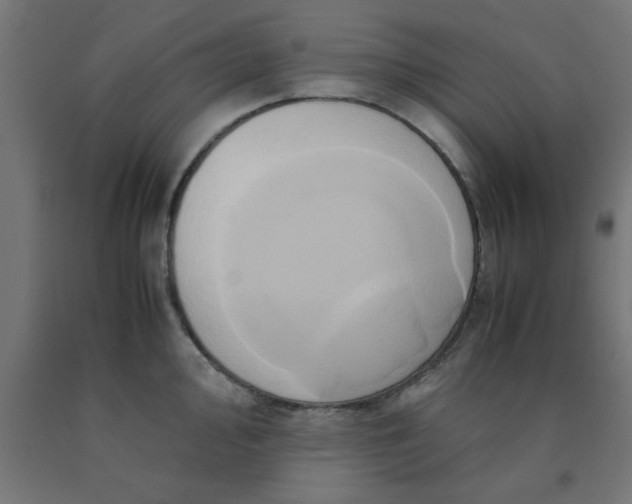 X0000090621000200707311240