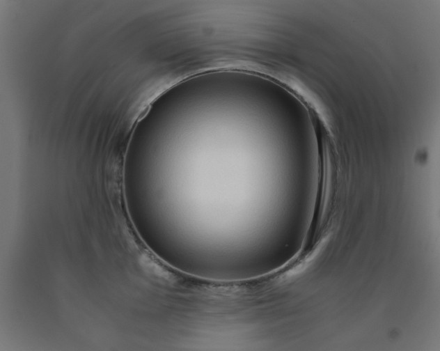 X0000090621001200707311240