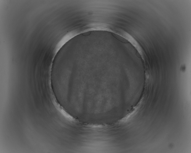 X0000090621002200707311240