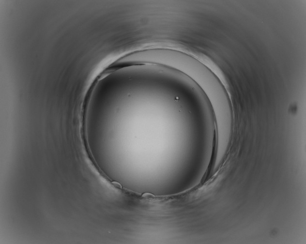 X0000090621005200707311240