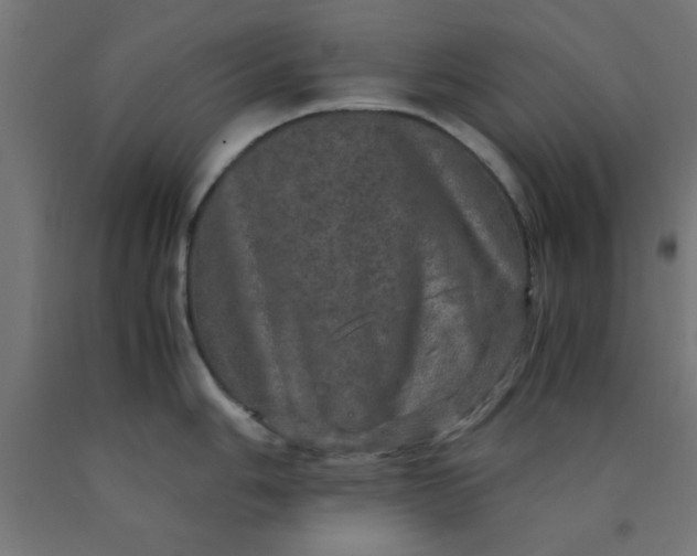 X0000090621006200707311240