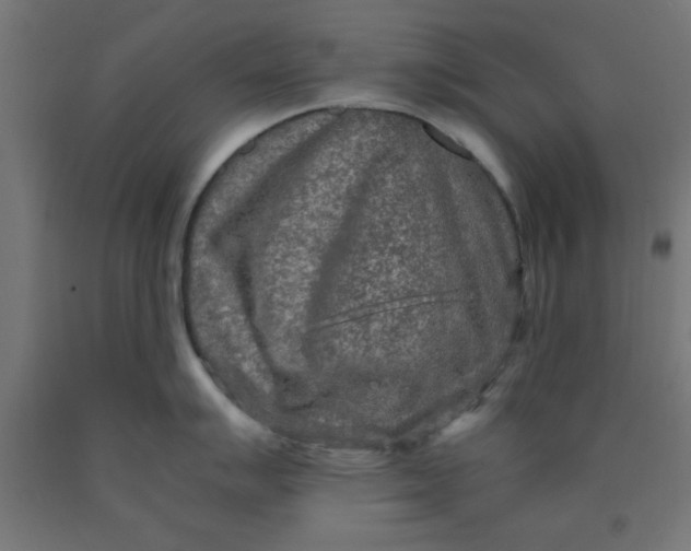 X0000090621007200707311240