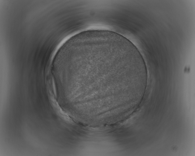X0000090621008200707311240