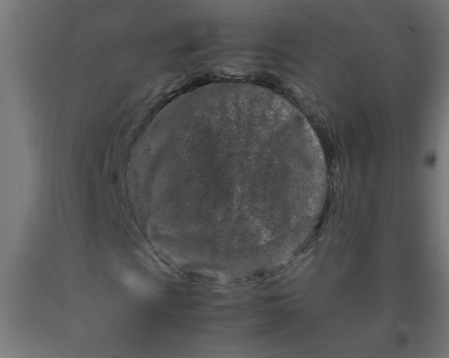 X0000090621009200707311239