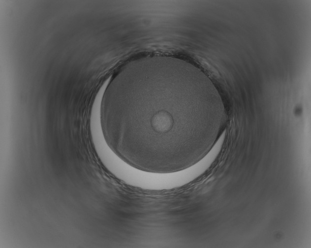 X0000090621010200707311239