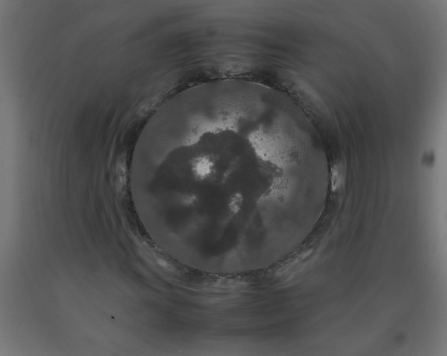 X0000090621011200707311239