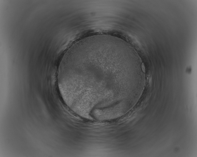 X0000090621012200707311239