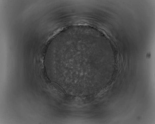 X0000090621013200707311239