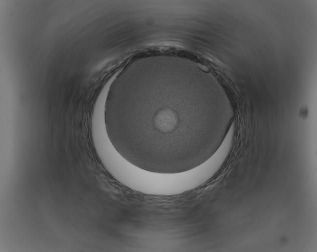 X0000090621014200707311239